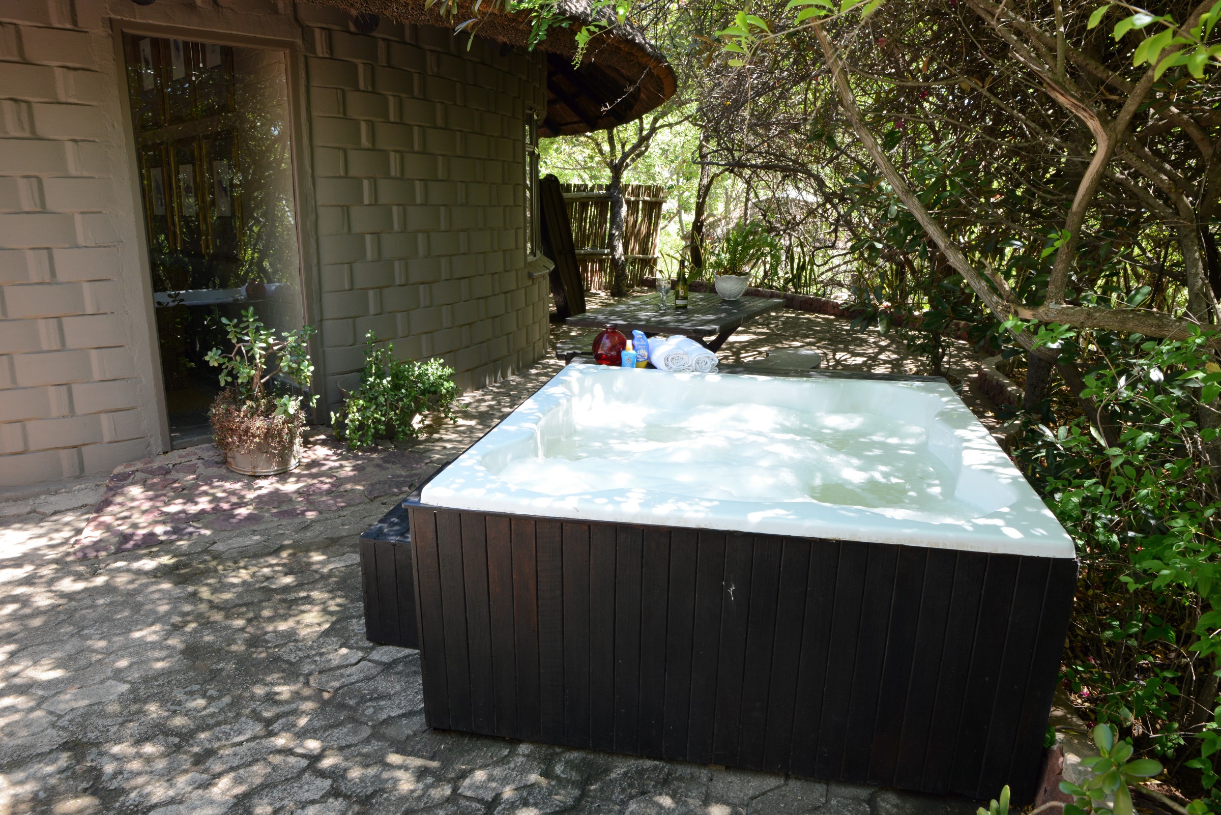 Sunbird Jacuzzi 03 South Of Africa