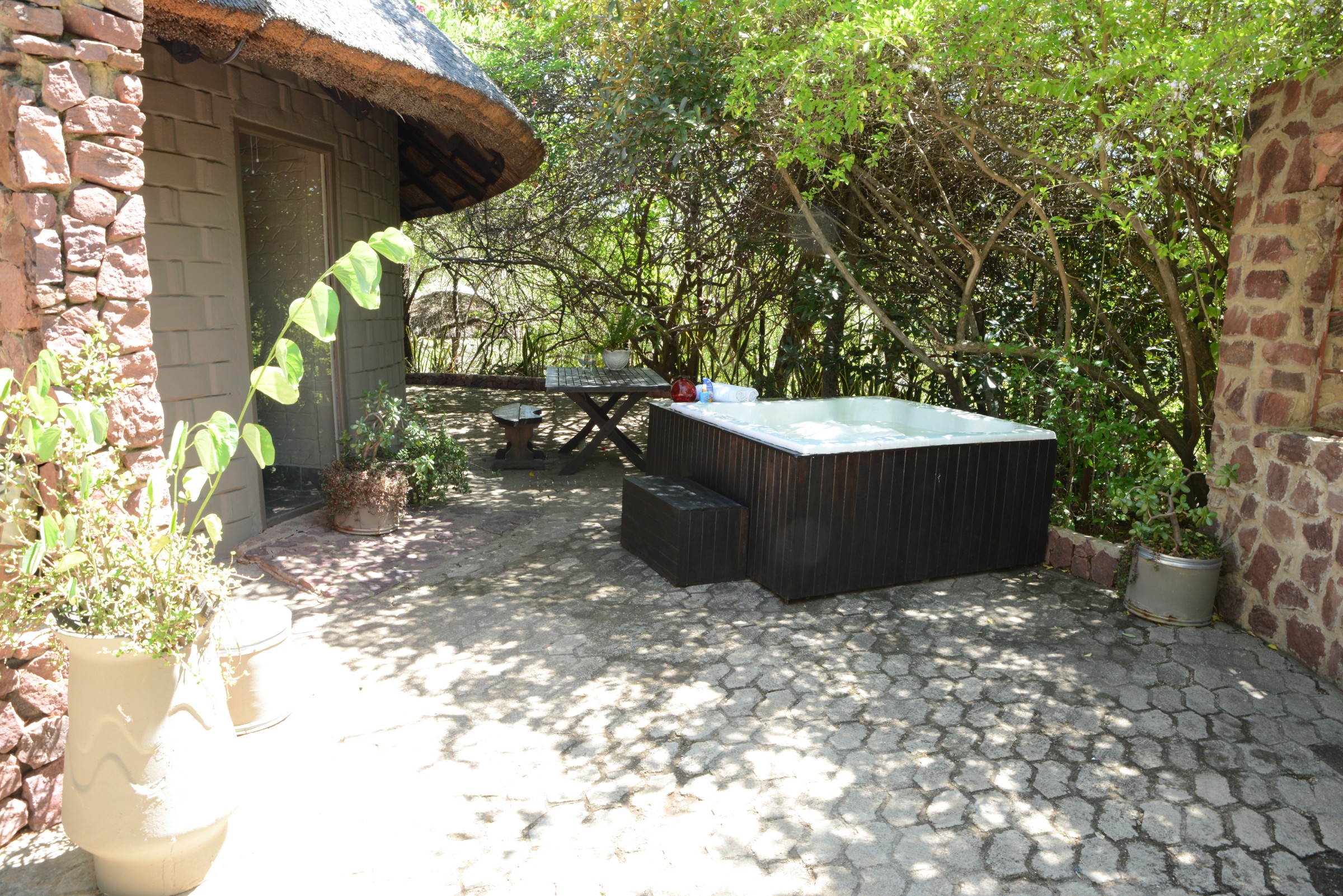 Sunbird Jacuzzi 04 South Of Africa