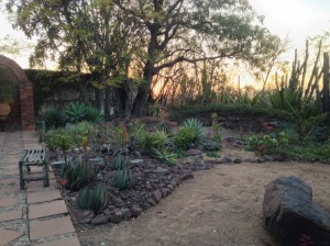 Shangri-La's Zen Garden at sunset